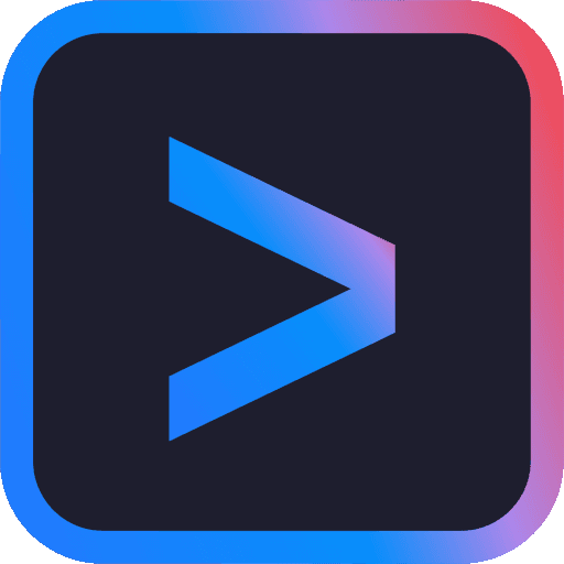 Gemini CLI User
